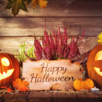 Halloween