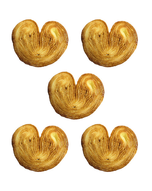 LOT DE PALMIER 4+1 