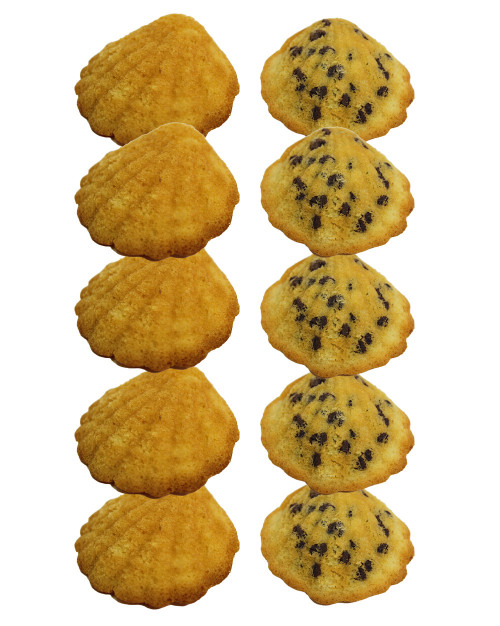 LOT DE 10 MADELEINES 
