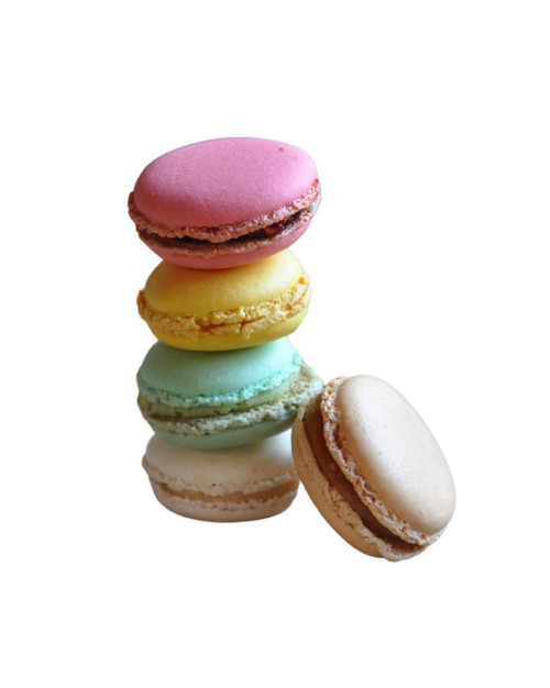   MACARONS - PETITE TAILLE